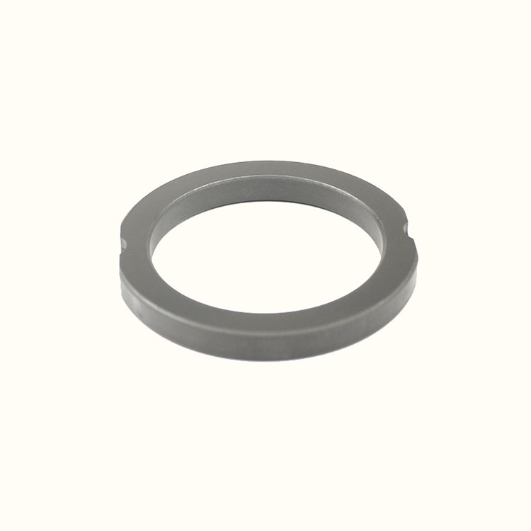 Graphite sealing ring