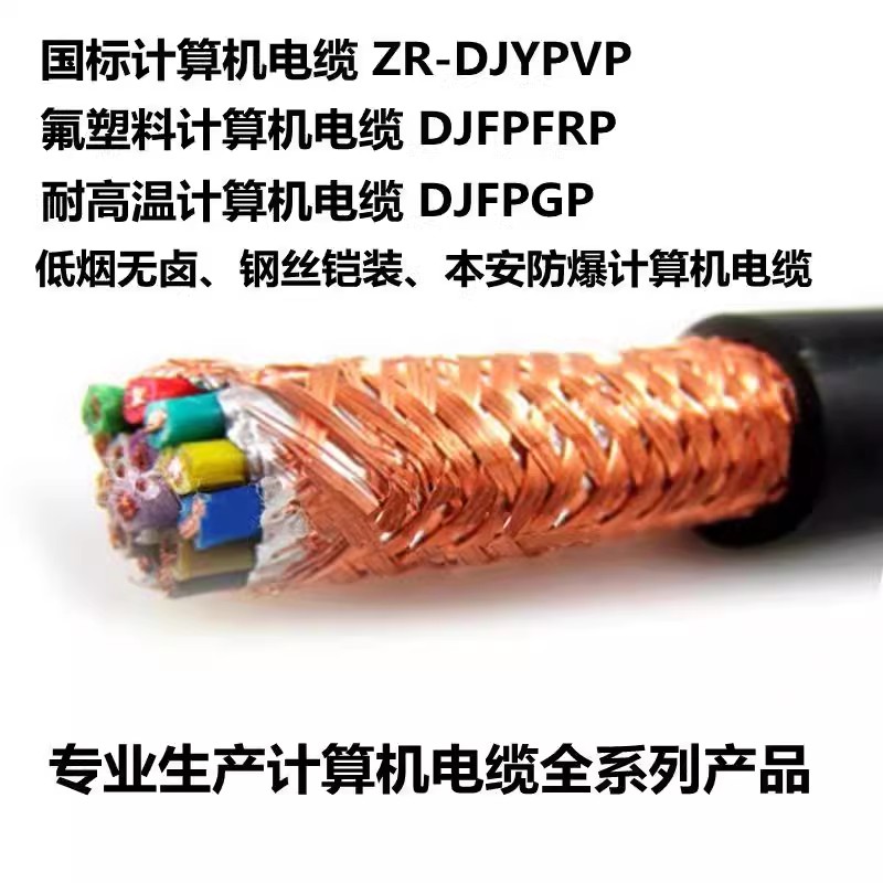 计算机电缆-计算机电缆ZRA-DJYP2VRP2铠装计算机电缆