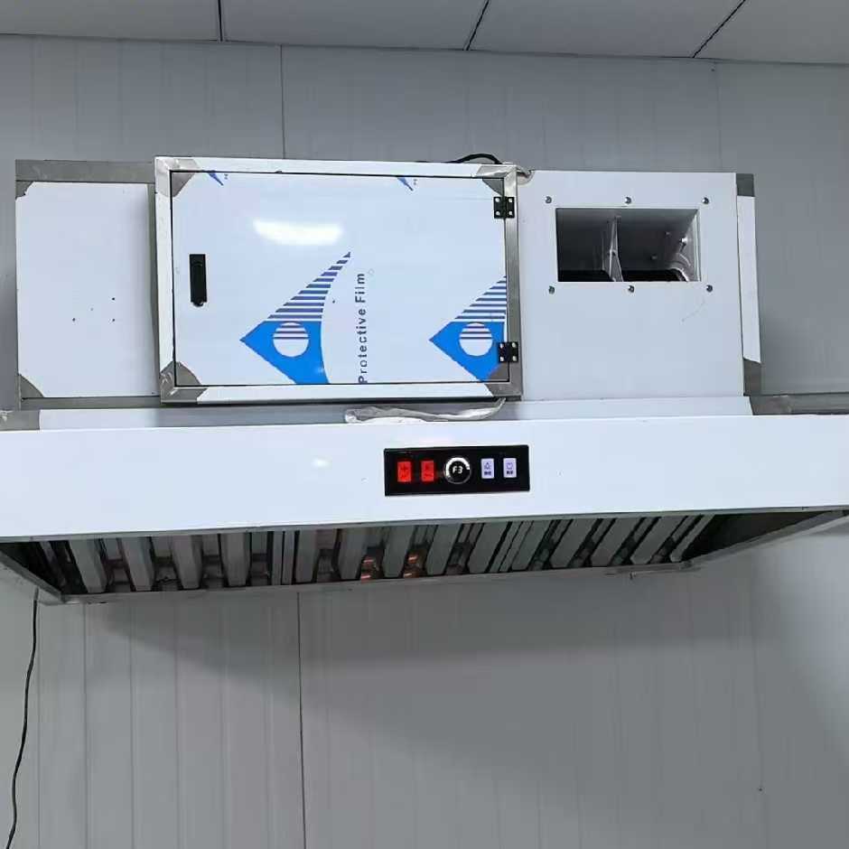厨房油烟净化器