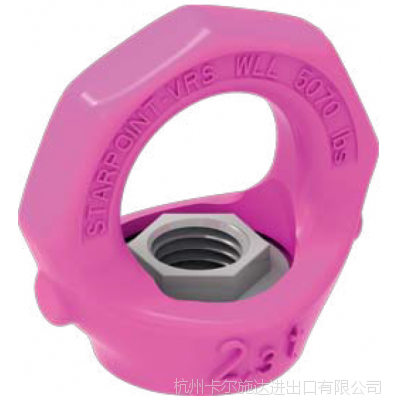 路德VRM吊环螺母 VWBG  VLBG