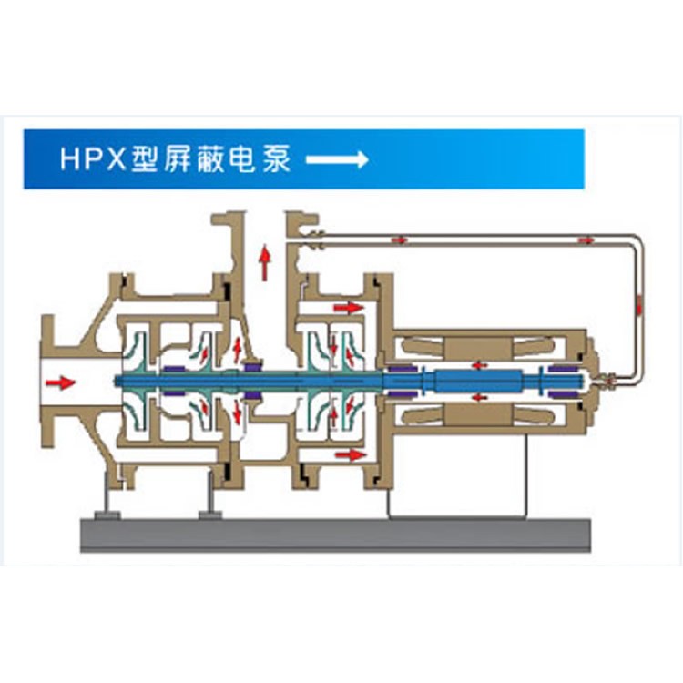 HPX型屏蔽电泵