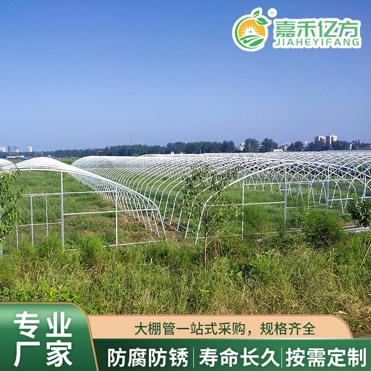 种植棚