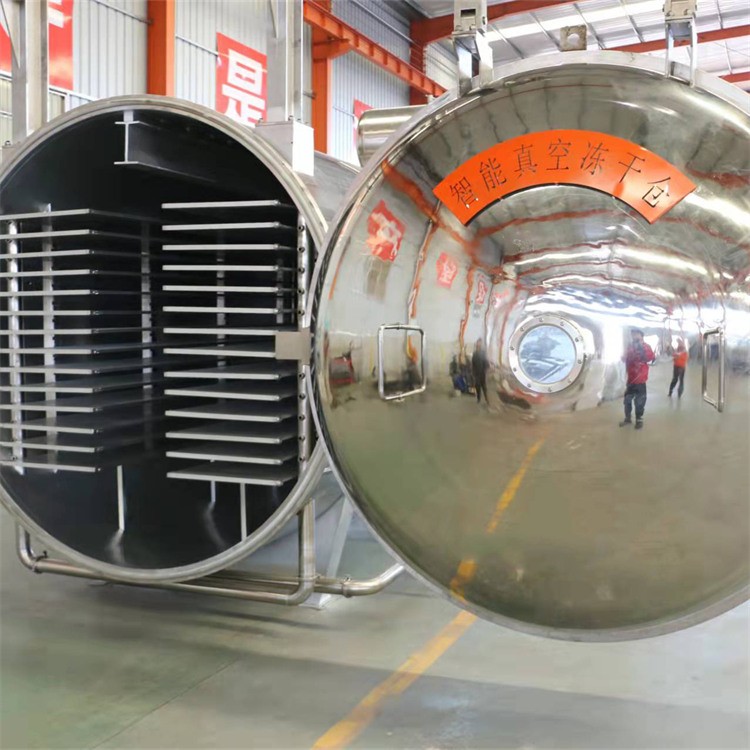 Food Vacuum Freeze-Dry Machine