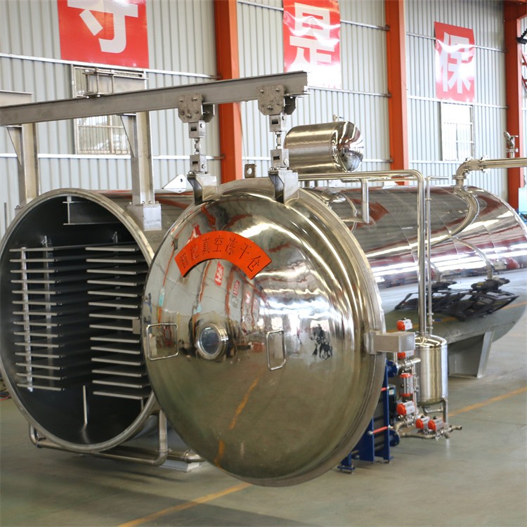 Vacuum Freeze-Drying Machine