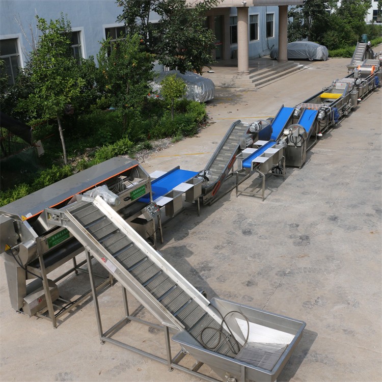 Apple Crisp Processing Equipment