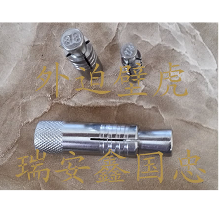 外迫壁虎