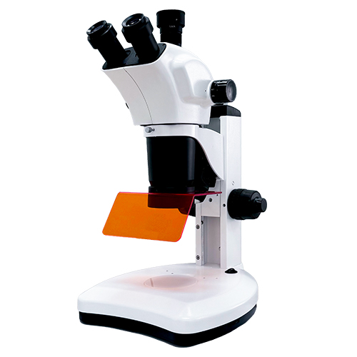 食品安全 体视荧光显微镜MHZF201