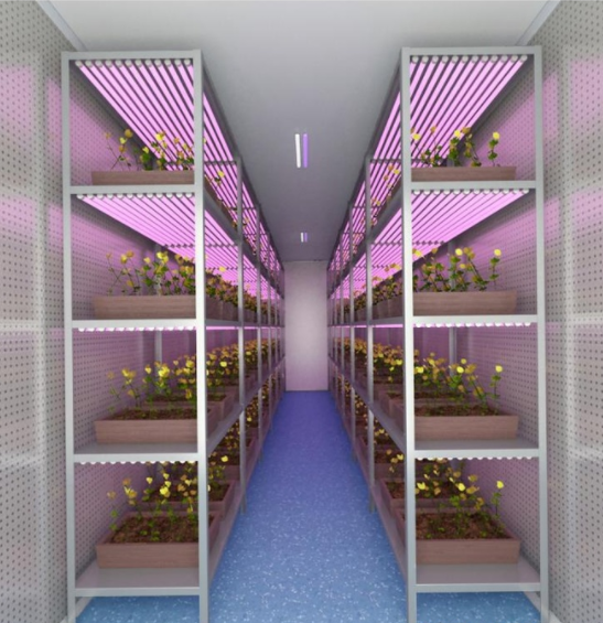 生产型组培室   组培设备公司  组培室建设  组培仪器