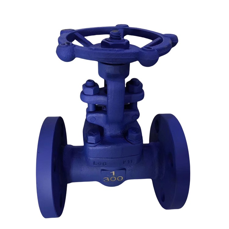 珞钼钢锻钢闸阀