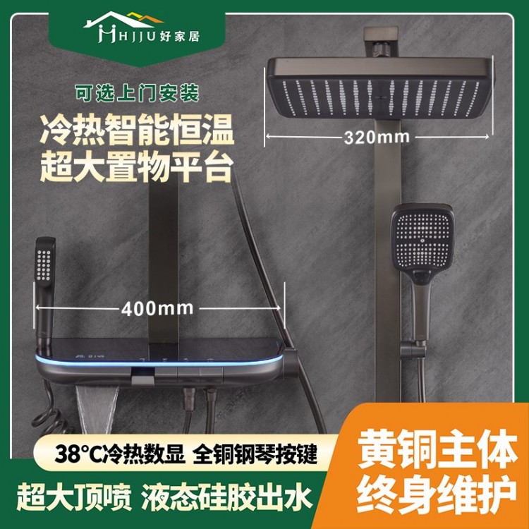 淋浴花洒 9010-1Q