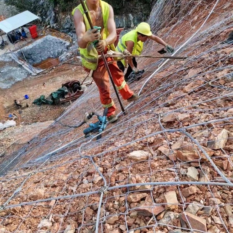 Active Protective Net