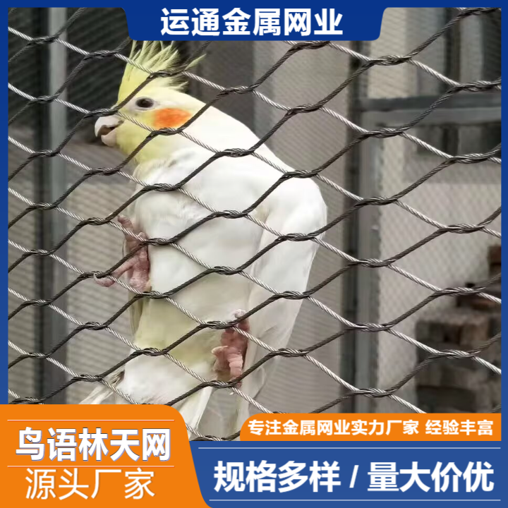 鸟语林天网生产厂家定制安装哪家好.鸟语林天网厂家电话155