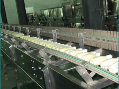 饮料生产线空心纤维内经约200μm