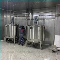 杨梅汁生产线 杨梅汁生产设备