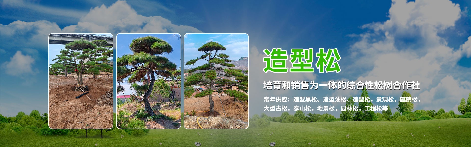济南市共赢园林
