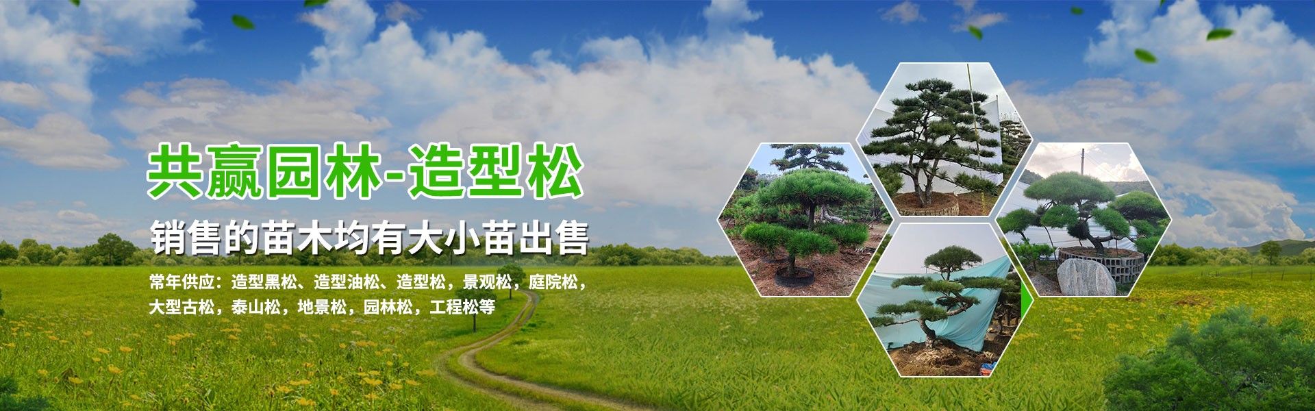 济南市共赢园林