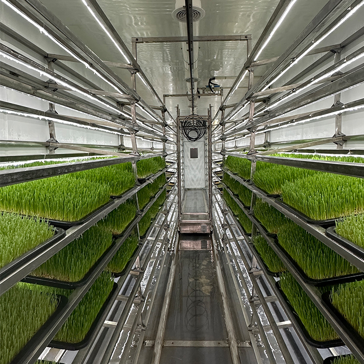 新型水培牧草设备