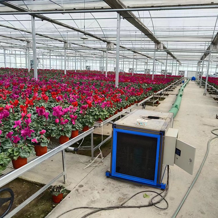 Glass-Link Intelligent Greenhouse Soilless Cultivation Heating, Year-round (120 Days), 26 Yuan per Square Meter