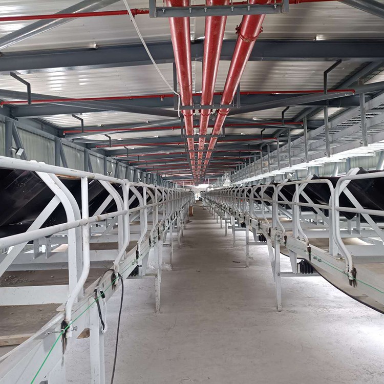 Belt conveyor conveying equipment