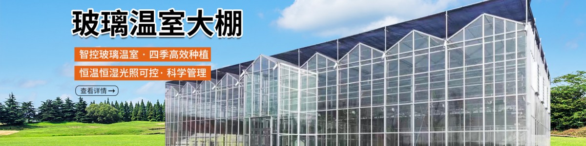 河北丰隆温室工程