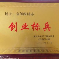 创业标兵