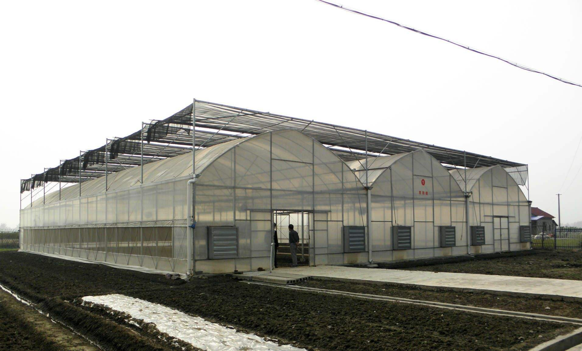 山东柏科阿姆农业科技开发有限公司：阳光板玻璃温室厂家