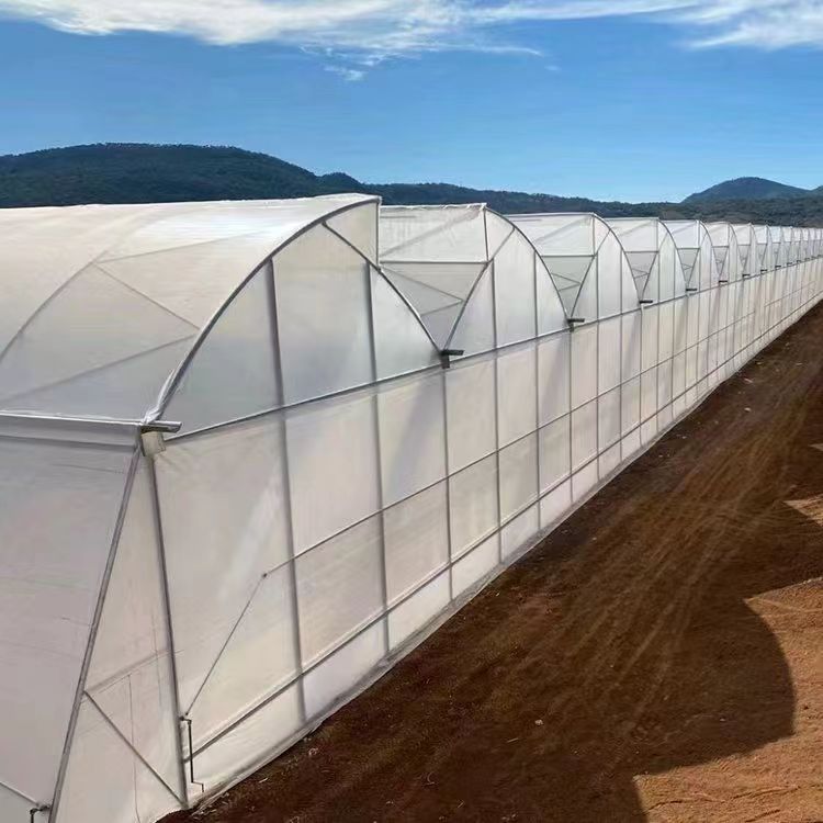 筑安金（山东）工程技术有限公司:连栋温室大棚厂家