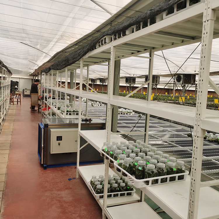 Glass connected greenhouse heating