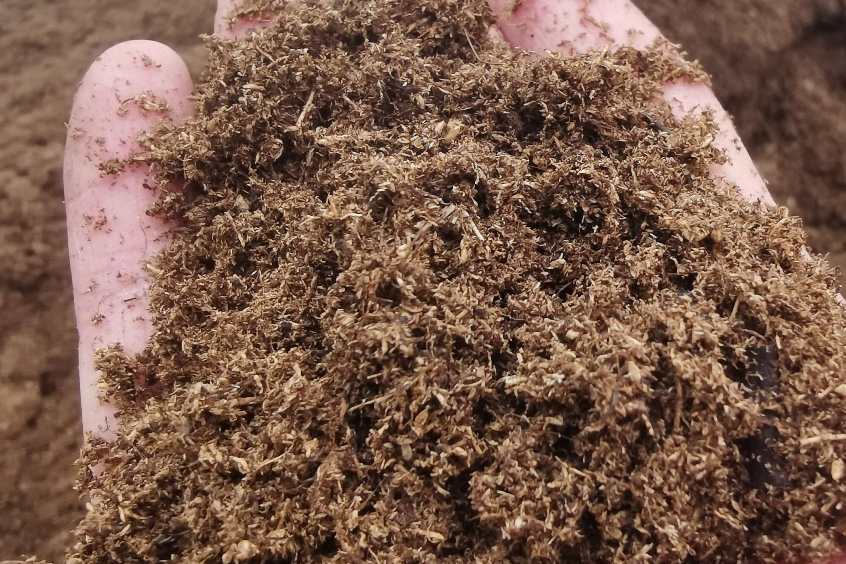 泥炭在园艺中的应用