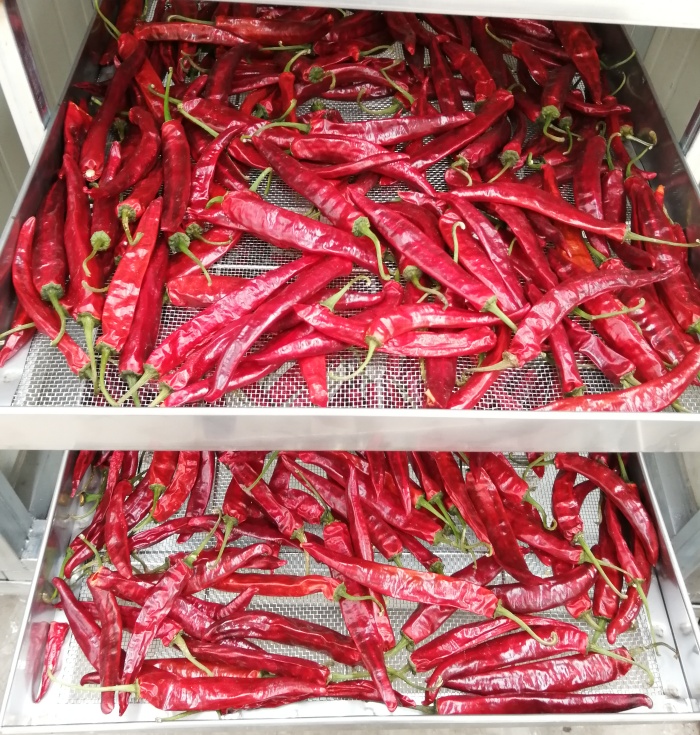 临朐县亿能干燥设备有限公司：食品烘干箱的可靠供货商