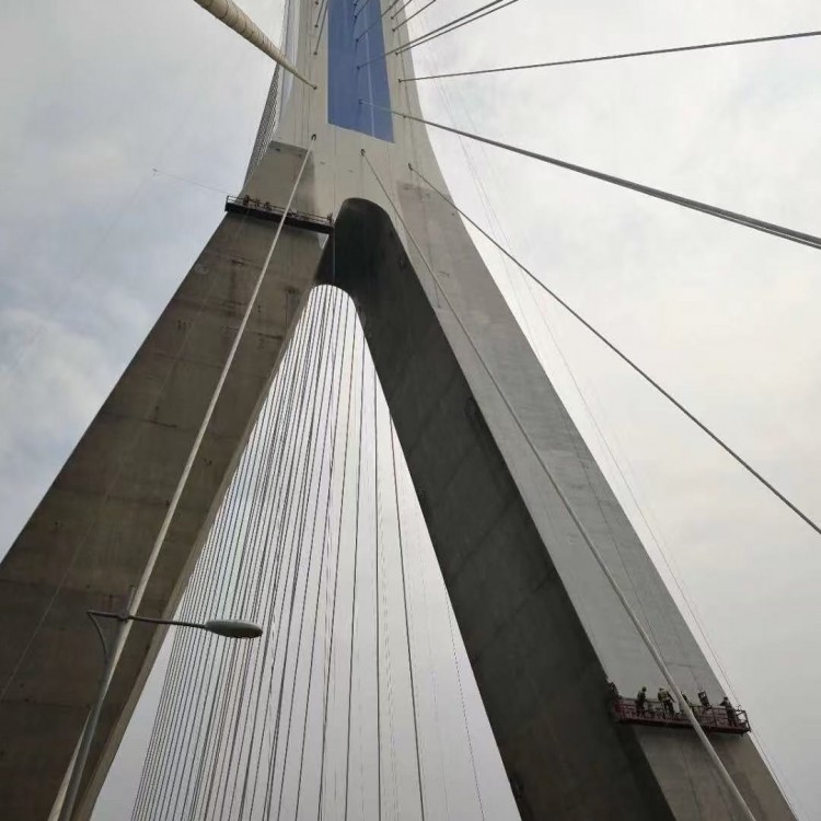 Bridge main tower hoist basket