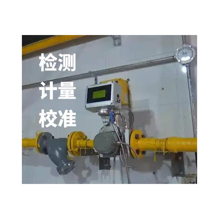 Wenzhou Gas Detector Measurement - Zhongnuo Inspection