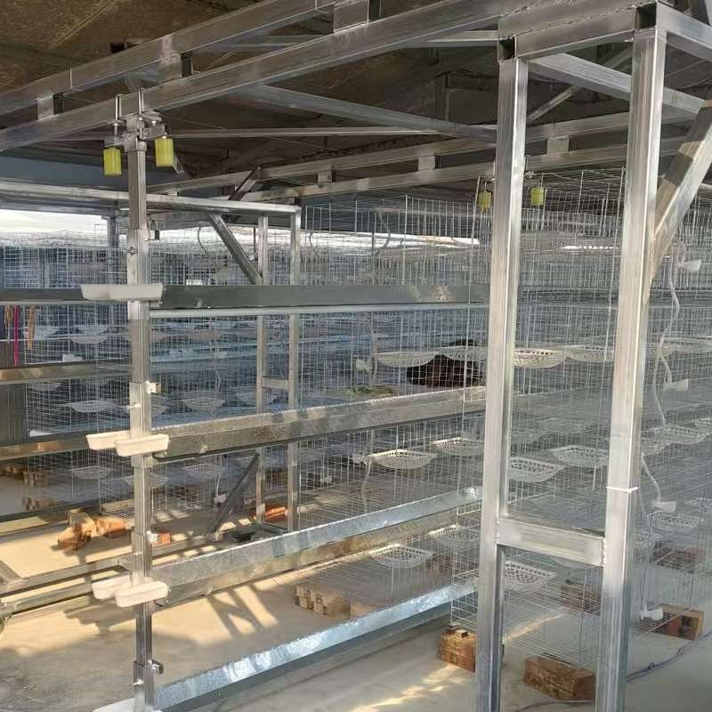 繁殖鸽笼厂家推荐：河北马尚笼具养殖设备有限公司