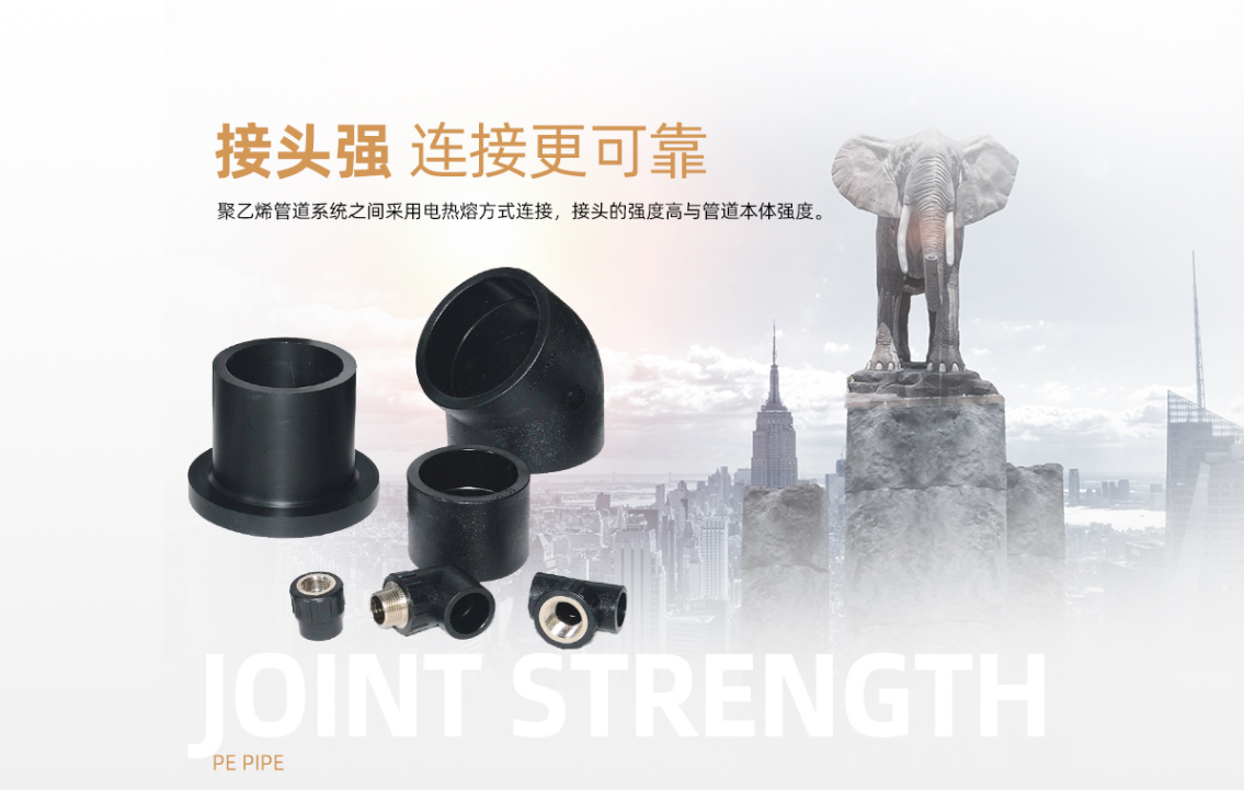 丰果（中国）有限公司