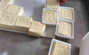 日本豆腐机市场的新宠：山东中科圣创机械有限公司