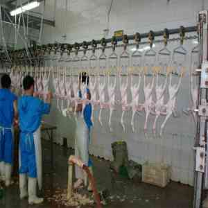 山东壹九八六工业装备有限公司：屠宰机械的可靠选择