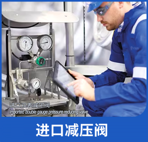 深圳名阀进出口贸易有限公司——美国威盾VTON的优质代理商