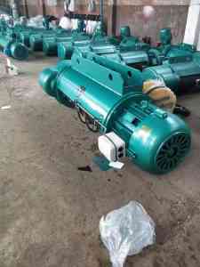 微型电动葫芦订制，山东齐重重工为您提供专业解决方案