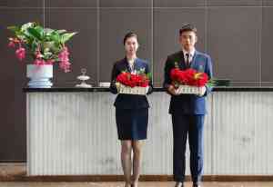 石家庄竞价推广公司哪家强？从多维度为您推荐