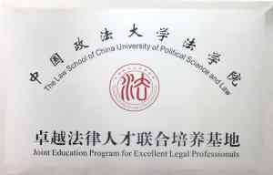 天津股权继承纠纷律师服务：专业与实力的保障