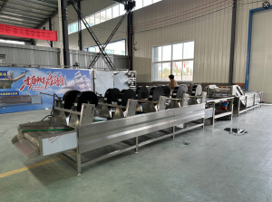 葡萄气泡清洗机厂商：山东皓铭食品机械有限公司介绍