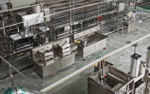 【实力厂家推荐】山东中科圣创机械有限公司——豆腐皮加工设备的可靠之选