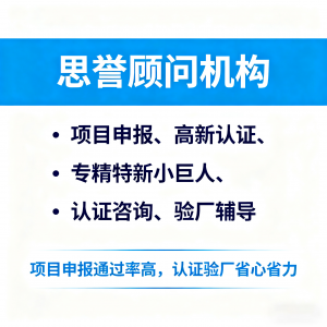 北京RBA验厂认证机构推荐：深圳市思誉企业管理顾问有限公司