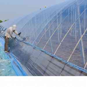 探秘青州市一润农膜厂：长寿膜生产的佼佼者