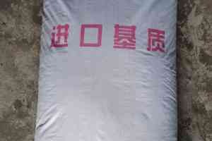 蔬菜育苗基质品牌推荐：寿光市绿田国际商贸有限公司