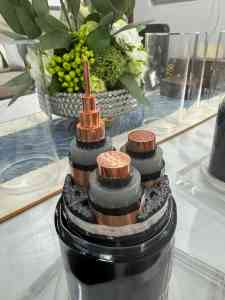 成都鑫佰亿线缆有限公司：专业可靠的阻燃铝芯交联聚乙烯绝缘电力电缆（ZR-YJLV）供货商