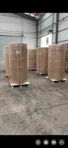 广东展艺纸业有限公司：专注牛皮纸生产的行业佼佼者