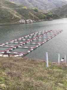 养鱼网箱订做，为何沅江市福利渔网加工厂是你的可靠选择？