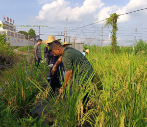 台山市弘德学校：专注叛逆青少年教育，助力孩子健康成长