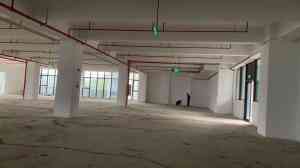 惠州装修设计服务推荐：东莞市新强装饰工程有限公司